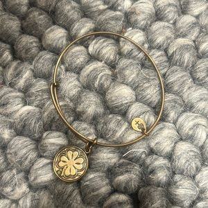 Alex and Ani Lucky Irish‎ Four Leaf Clover Shamrock Bangle Charm Bracelet 2013